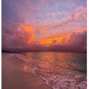 Meet your Posher, Tess